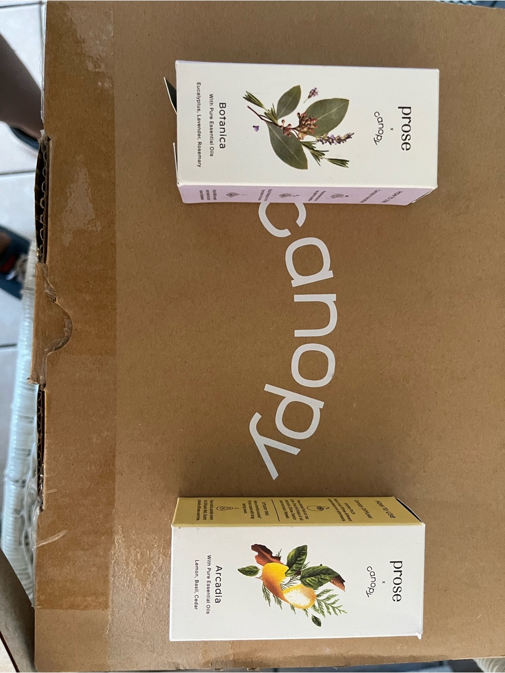 NIB Canopy/ Prose Humidifier - Picture 2 of 6